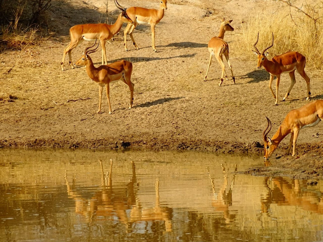 Kruger Gate Guest House主图