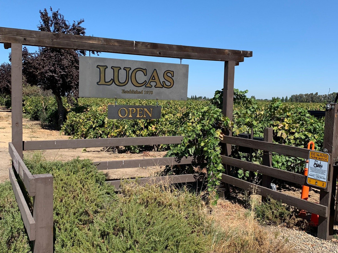 Lucas Winery-洛迪必去景点