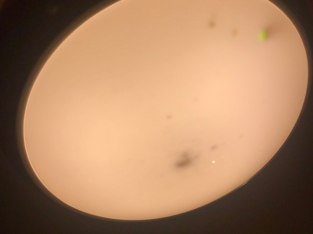 The Groves Hotel主图