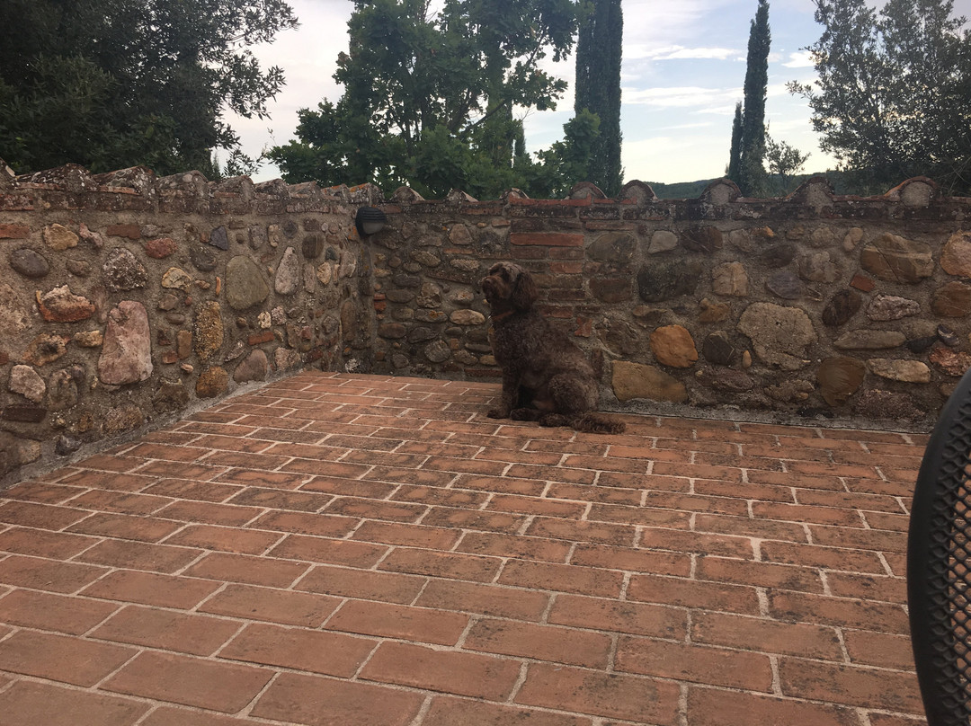 Tenuta Casabianca主图