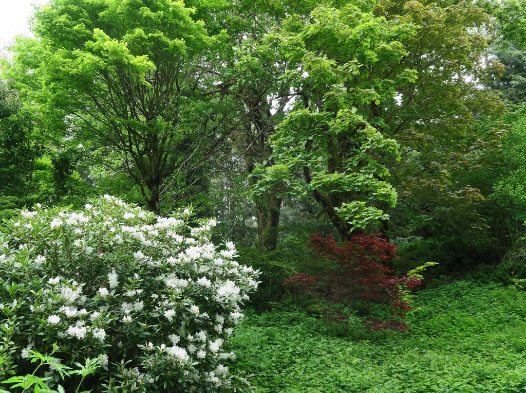 Ronning’s Garden景点图片
