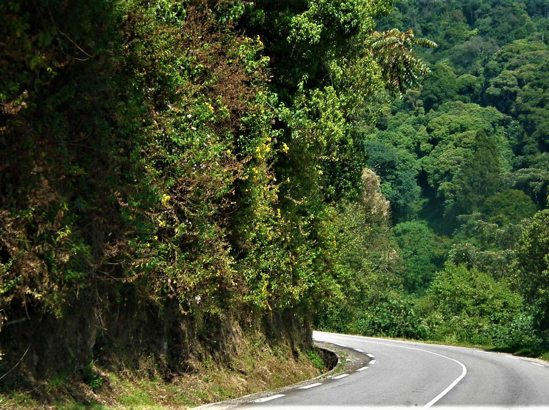 Beyond The Hills Tours景点图片