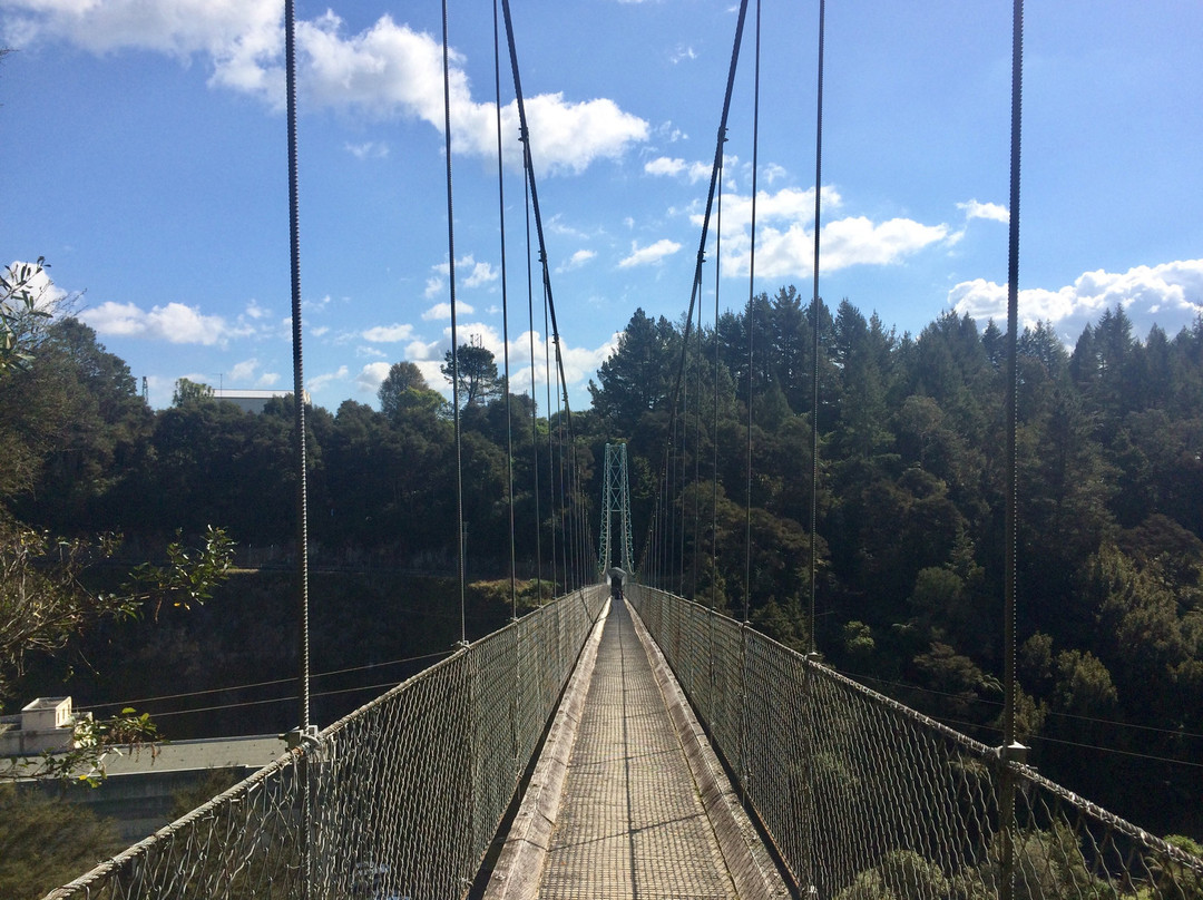Arapuni Swing Bridge景点图片
