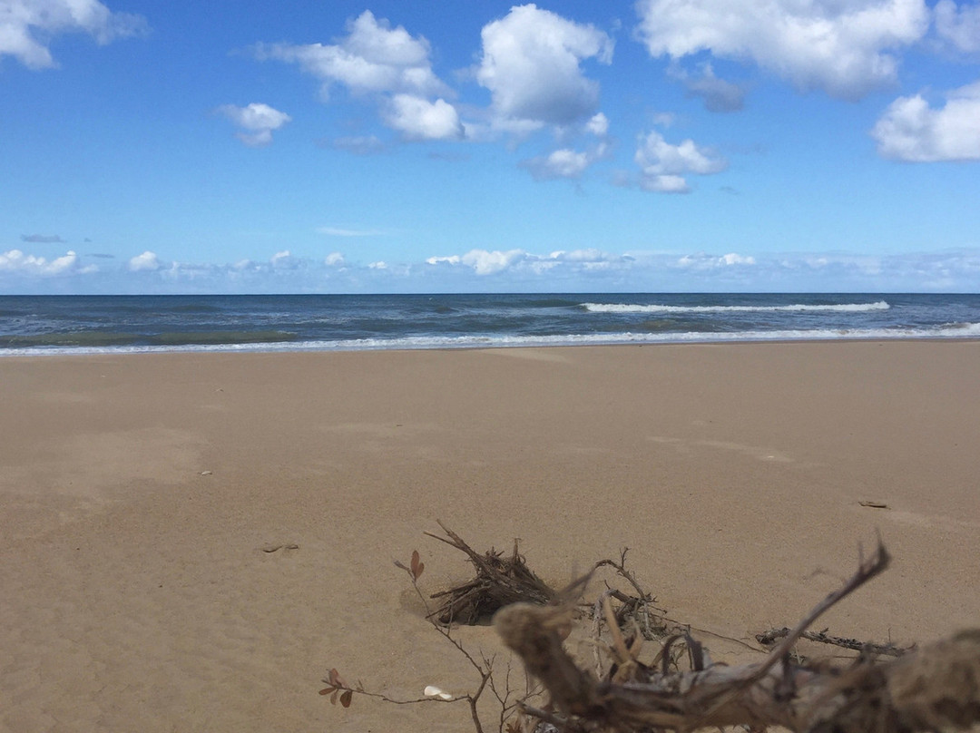 Reeeves Beach-Woodside必去景点