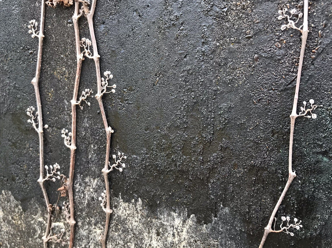 August A. Busch Memorial Conservation Area-圣查尔斯必去景点