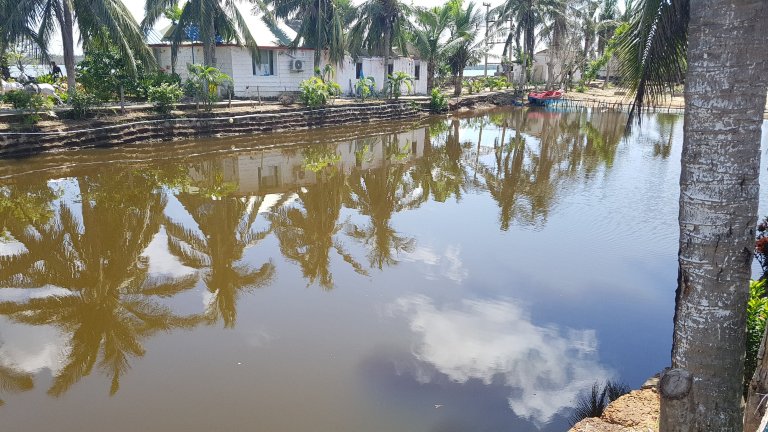 Daaven's Eco Cottage-泳池