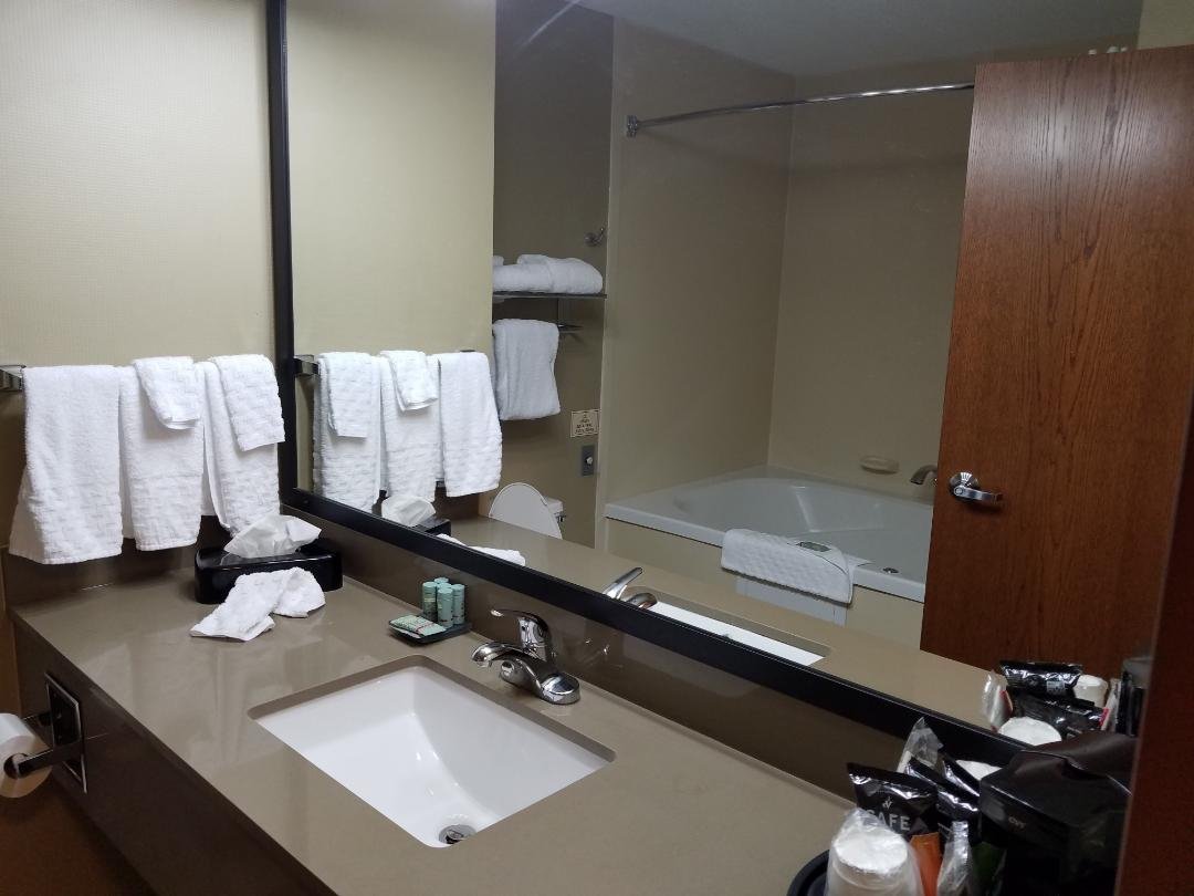 Best Western Delta Inn-浴室