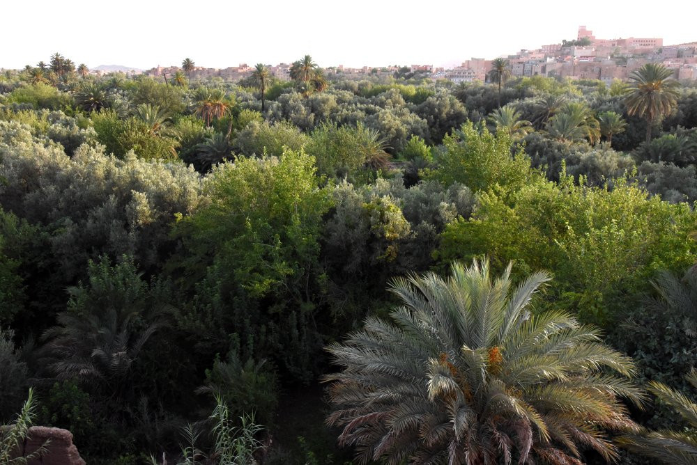 Mosquee ikalalne Afanour-廷吉尔必去景点