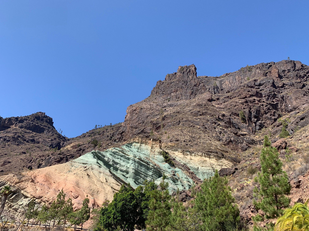 Pinar de Tamadaba景点图片