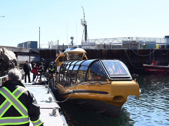 Croisières Neptune-Les Escoumins必去景点