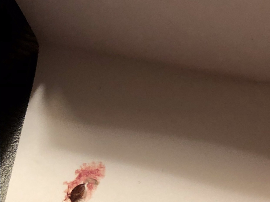 First American Hotel & Suites主图