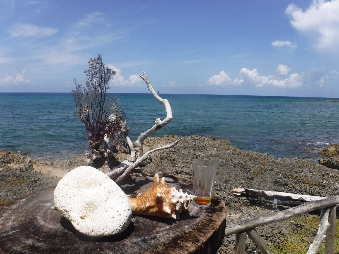 Calico Jack's Pirate Island-内格里尔必去景点