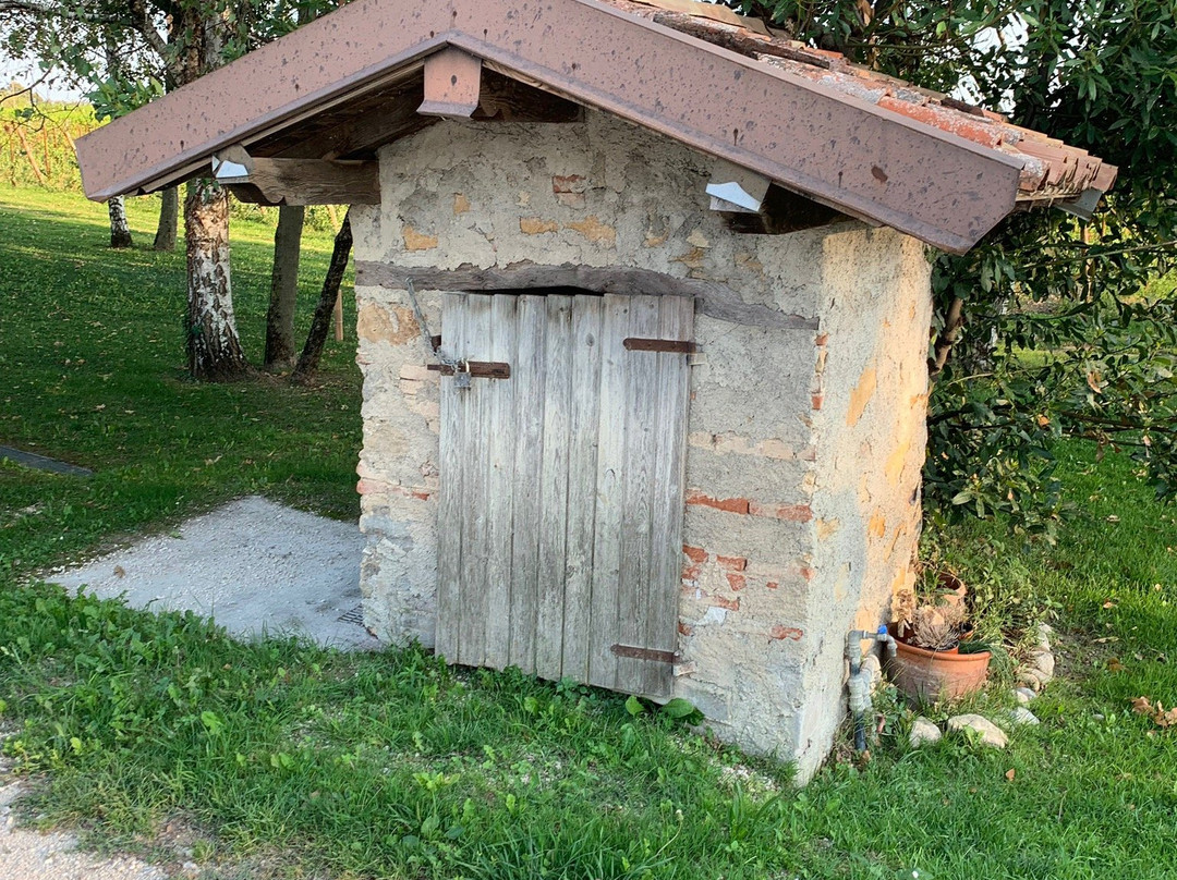 Azienda Agricola Masserino景点图片