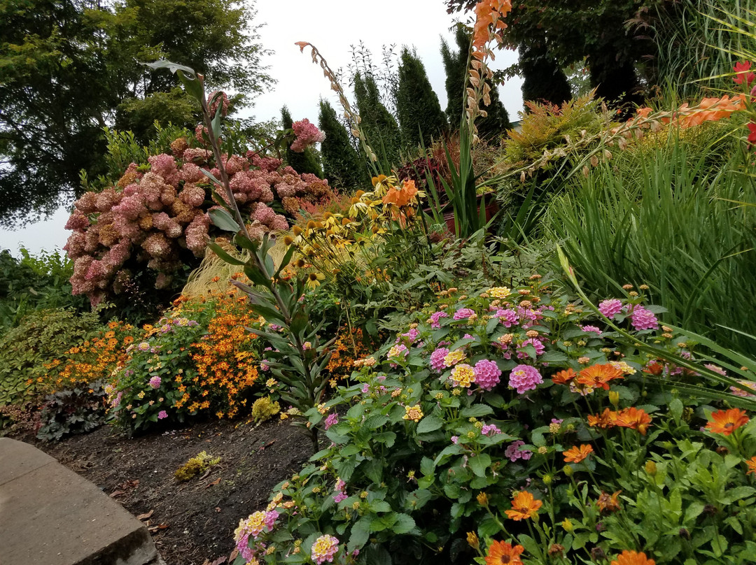 Evergreen Arboretum & Gardens-埃弗里特必去景点