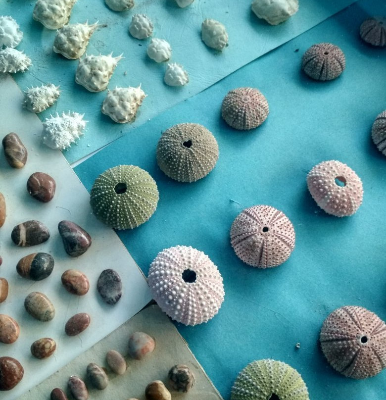 Kini Aquarium-Kini必去景点