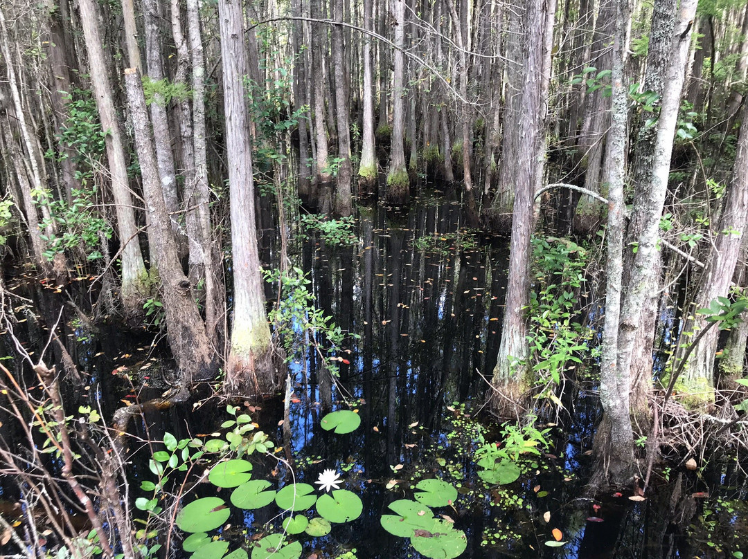 Grand Bay Wildlife Management Area-瓦尔多斯塔必去景点