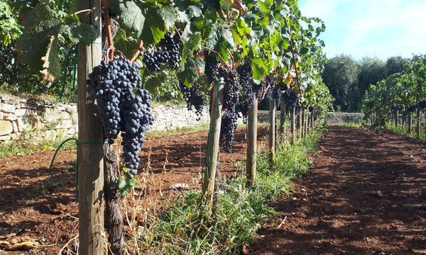 ExHistria-普拉必去景点