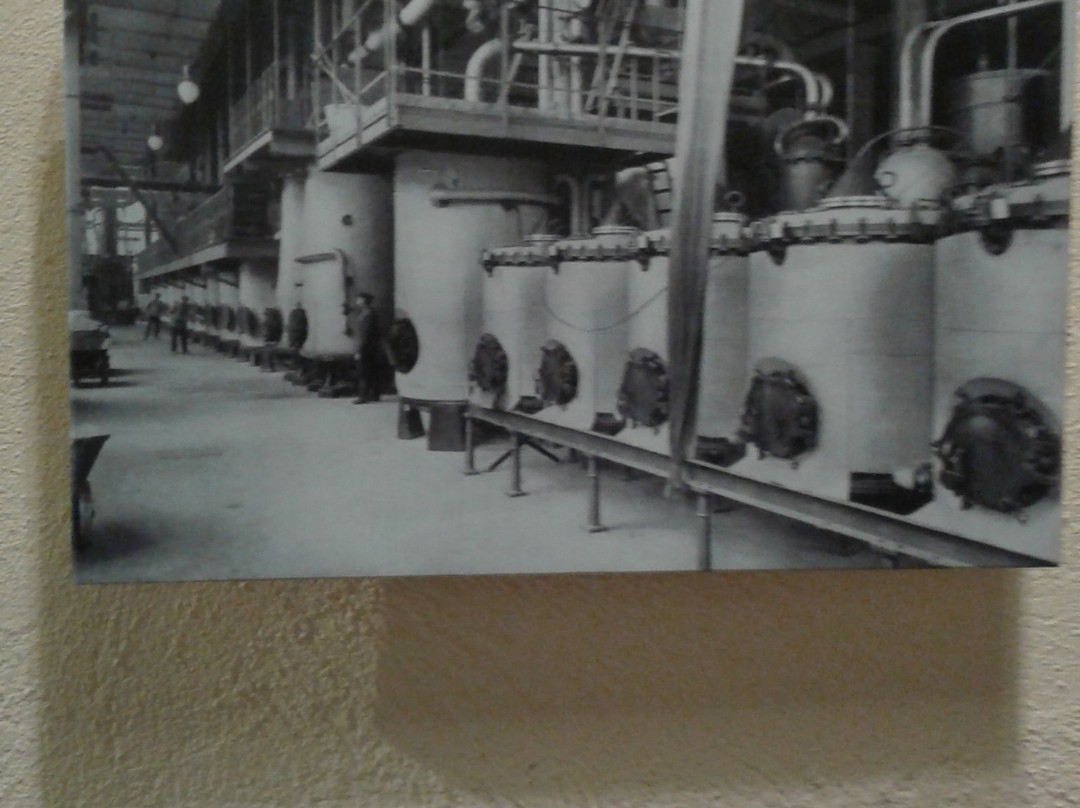 Musée de la Distillerie de Lavande景点图片