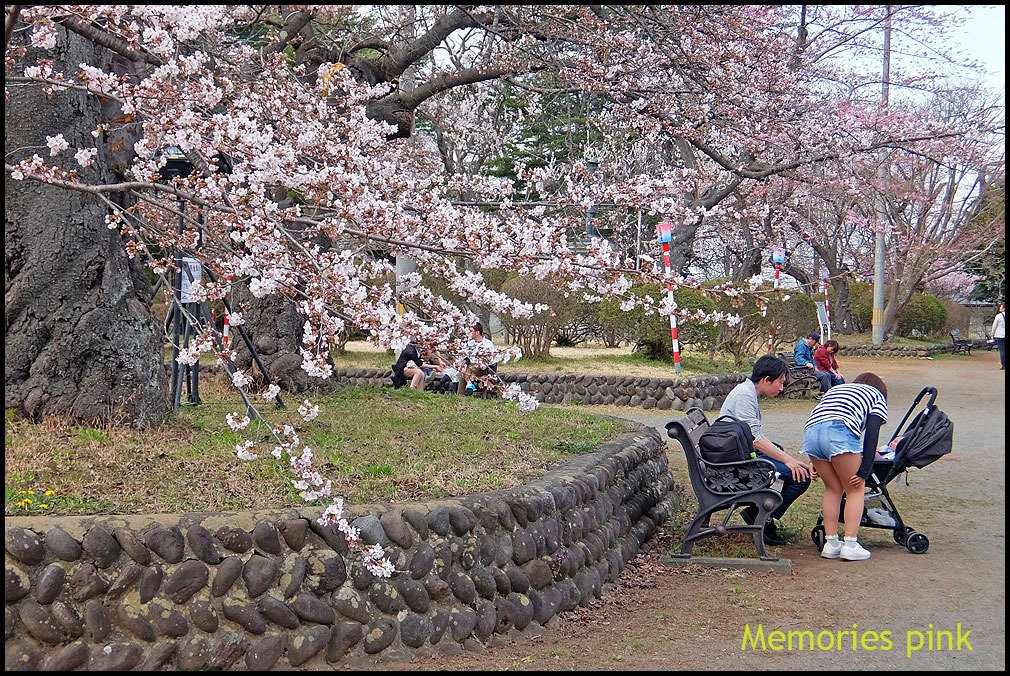 Mizusawa Park景点图片