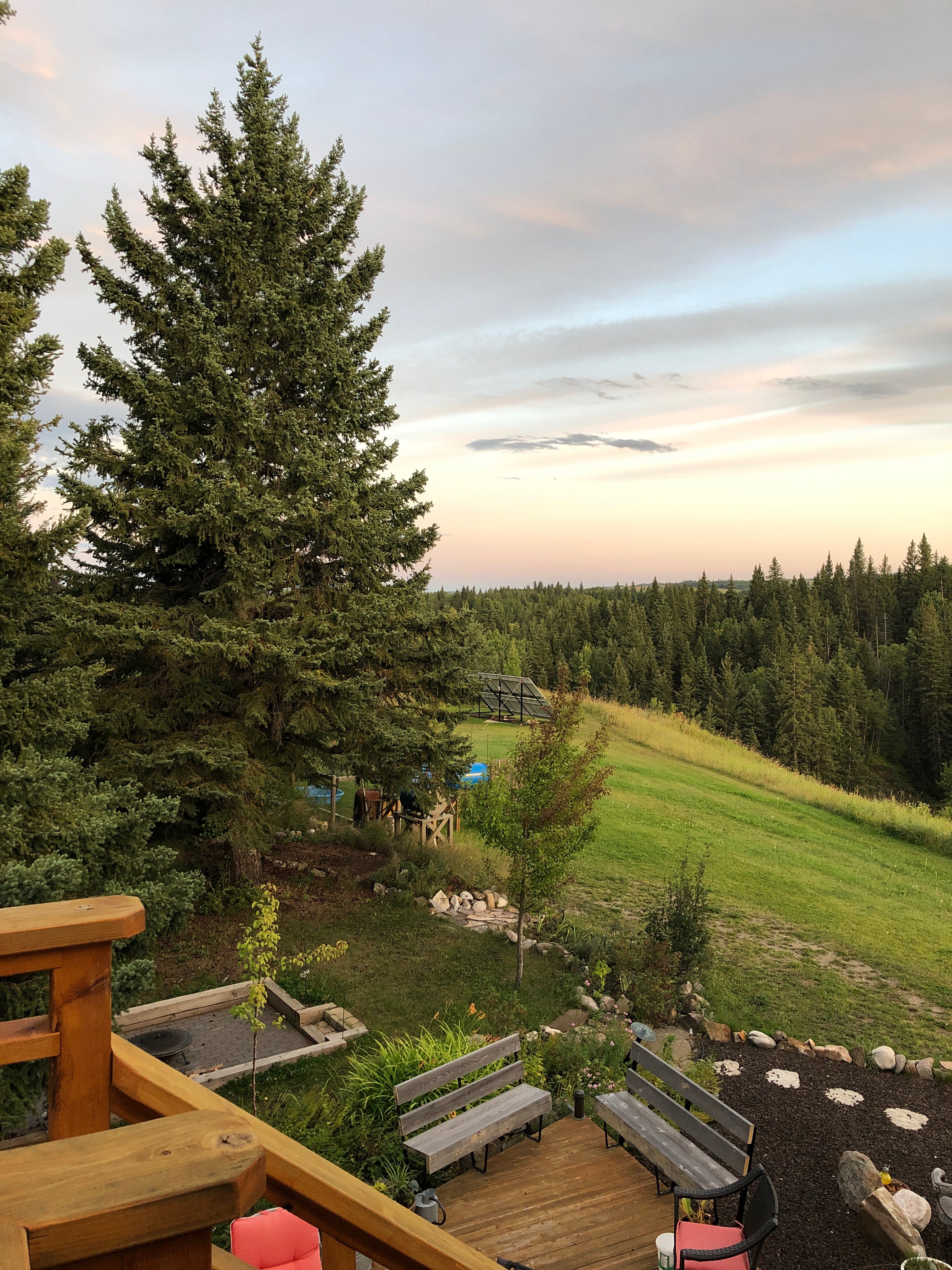 Windflower Bed & Breakfast-酒店景观