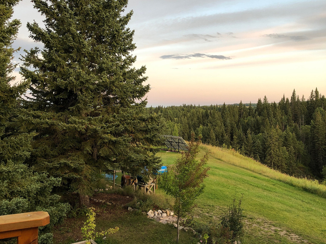 Windflower Bed & Breakfast主图