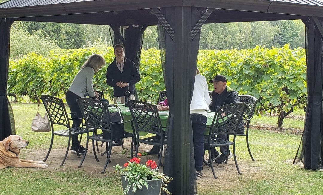 Vignoble Côte De Vaudreuil-沃德勒伊多里翁必去景点