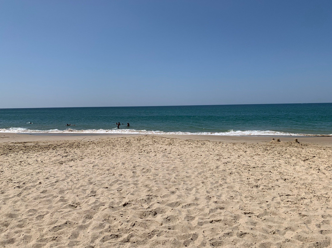Plages des Arros景点图片