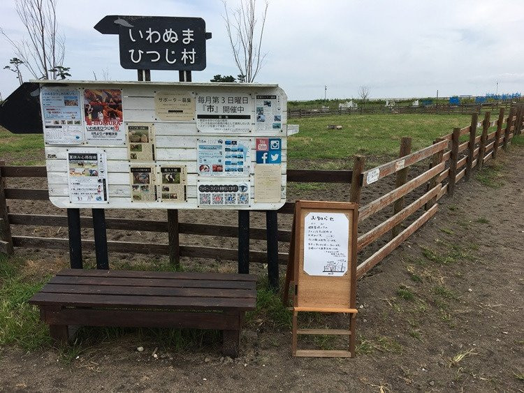 Iwanuma Sheep Village-岩沼市必去景点