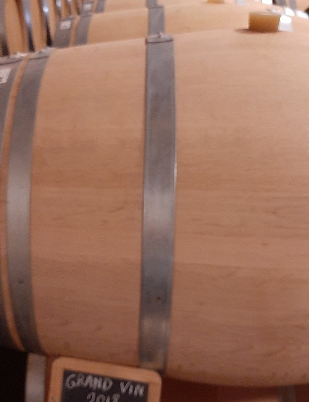 Château Jean Faure Grand Cru Classé景点图片