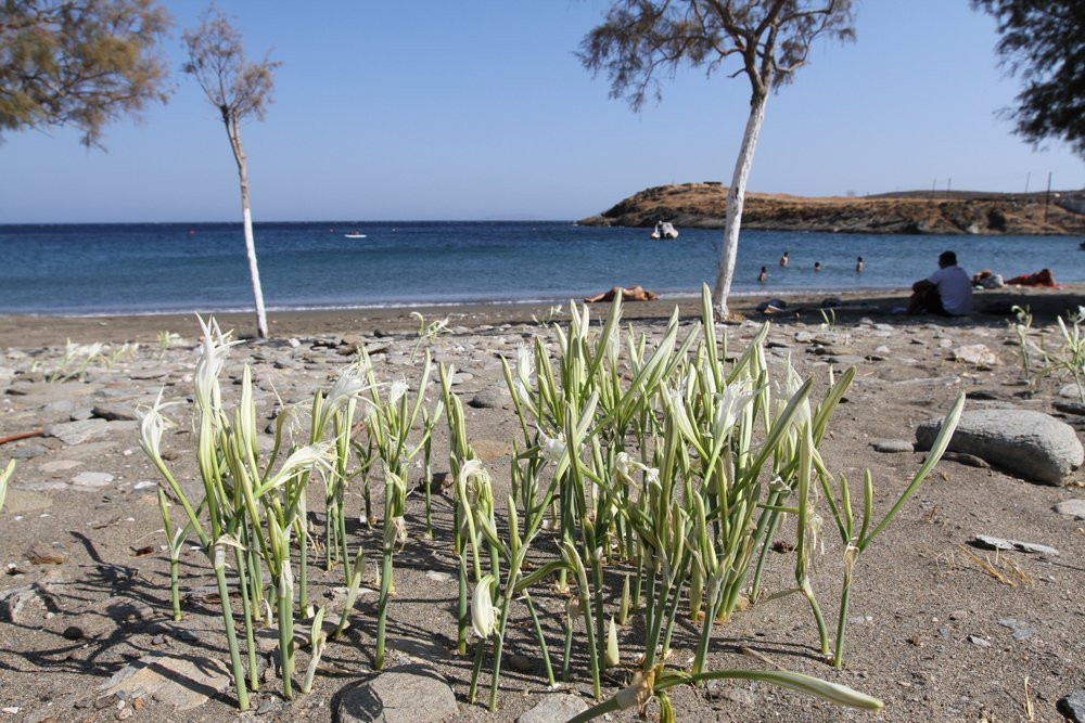 Naousa Beach-Kithnos Town必去景点