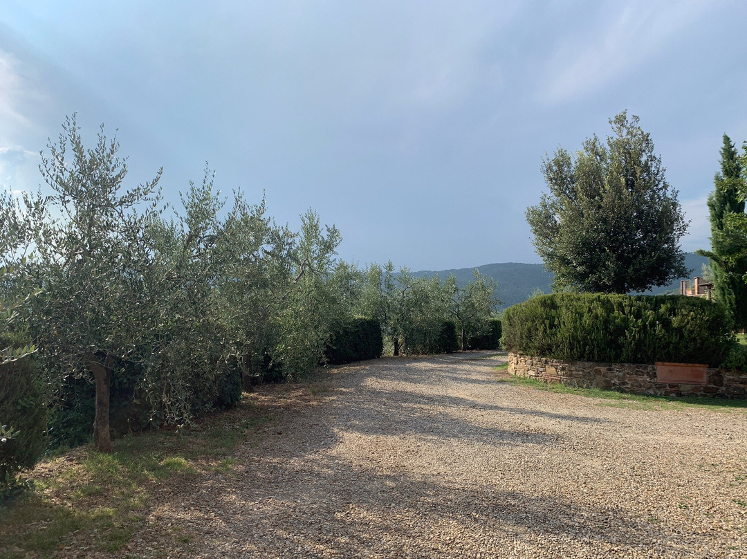 winery Agriturismo Santo Stefano-菲奥伦蒂诺堡必去景点