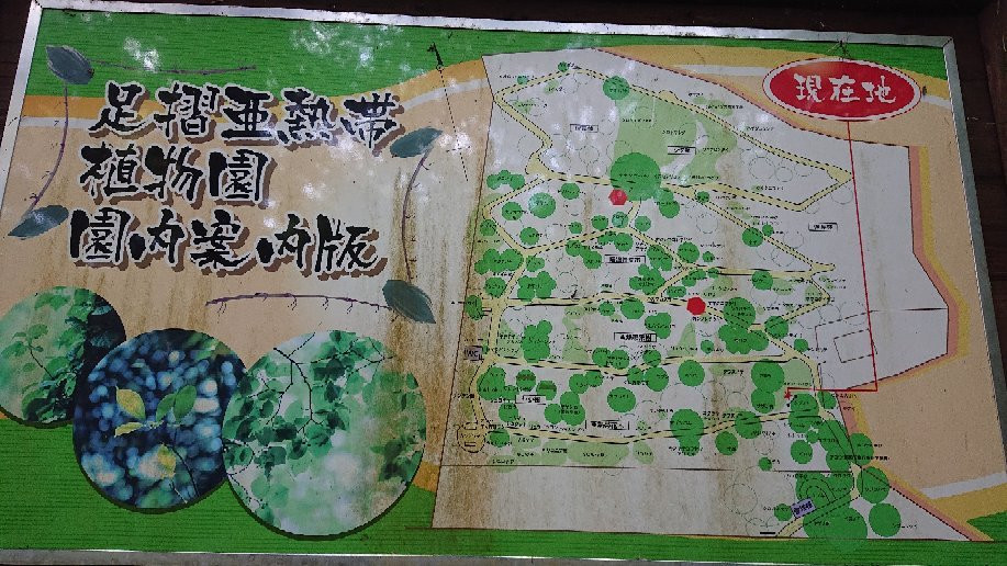 Ashizuri Anettai Shokubutsu-en-土佐清水市必去景点