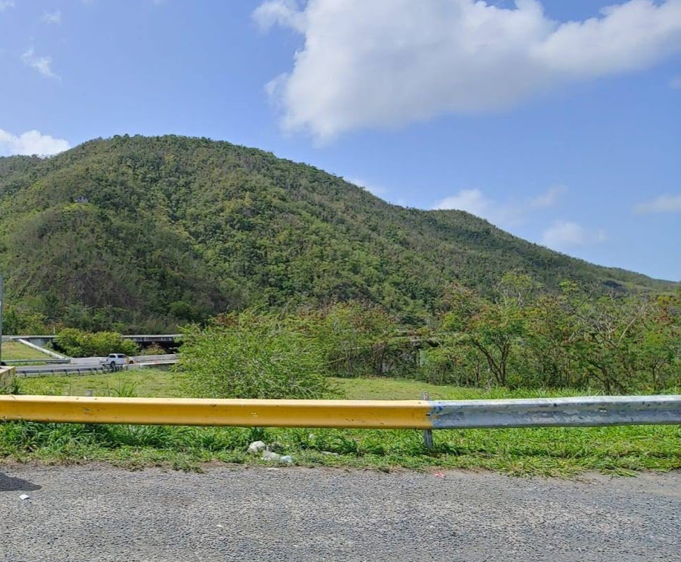 Monumento al Jíbaro Puertorriqueño景点图片