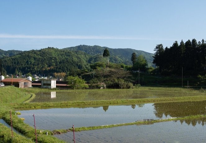 Ayabe Yoshimizu主图