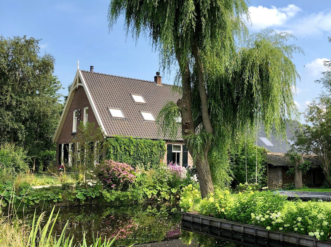 Kaasboerderij Jongenhoeve景点图片