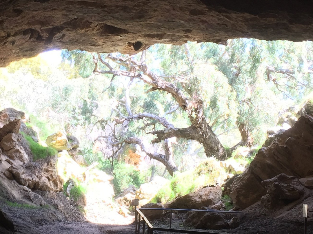 Stockyard Gully National Park景点图片