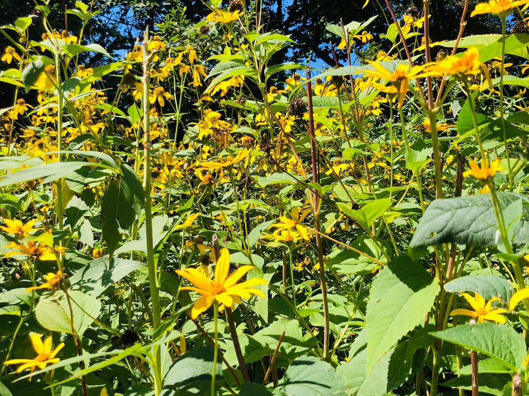 Avalon Park & Preserve-Stony Brook必去景点