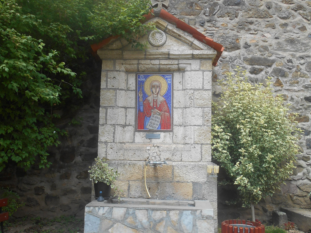 Monastery of Draca景点图片