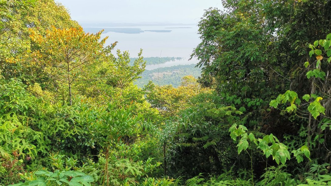 Mount Bintan景点图片