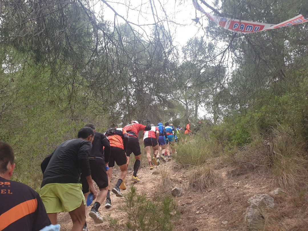 Tomillo Trail Yecla
