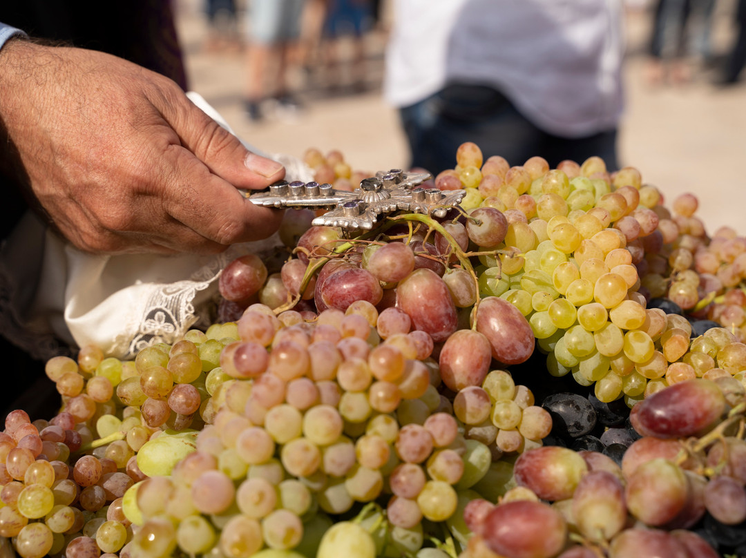 Armenia Wine-Sasunik必去景点