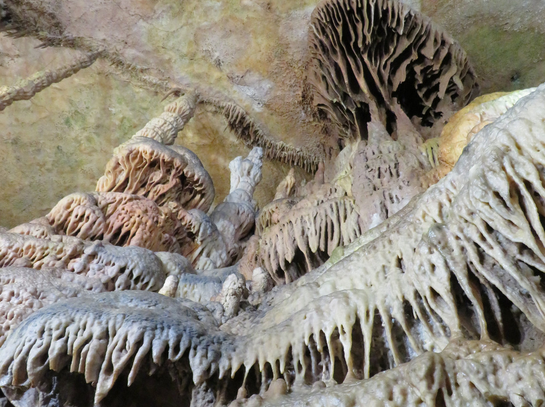 Les Grottes de Presque景点图片