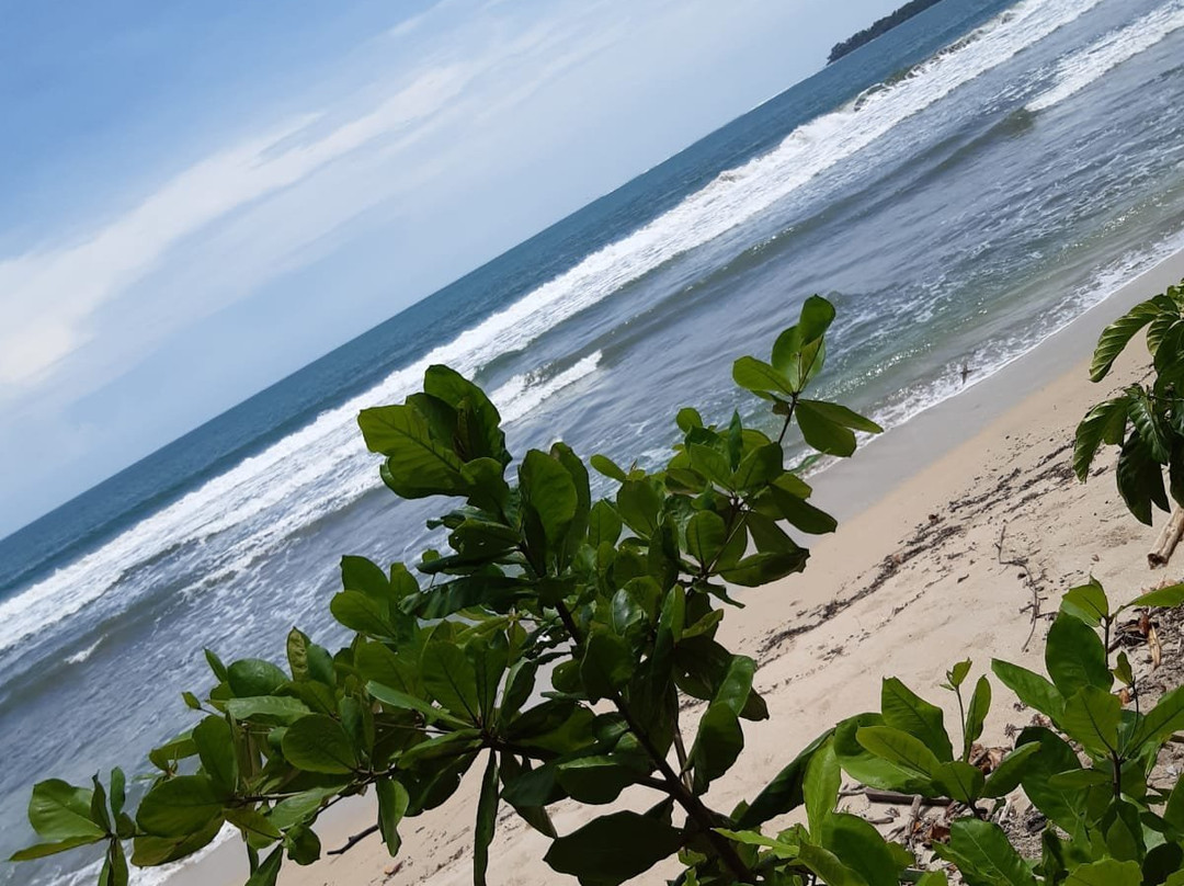 Ciudad Perdida Eco Lodge主图