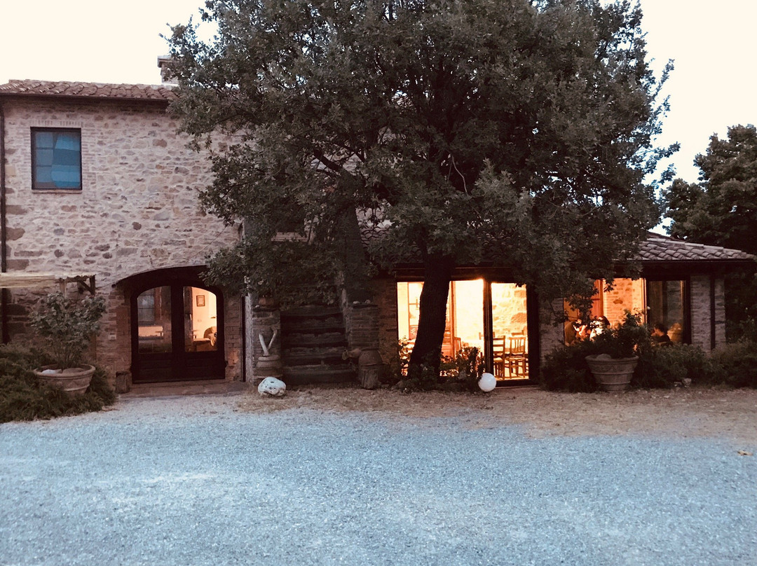 Salaiolo 176 Azienda Agricola主图