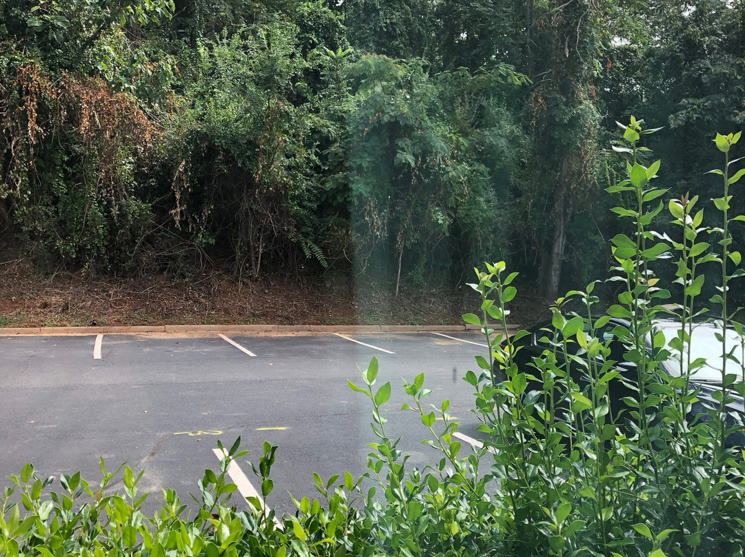 Comfort Inn Monticello主图