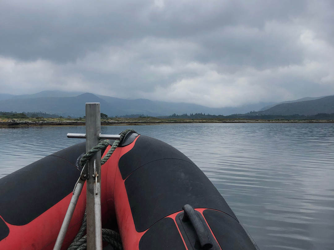 Kenmare Bay Diving-肯梅尔必去景点