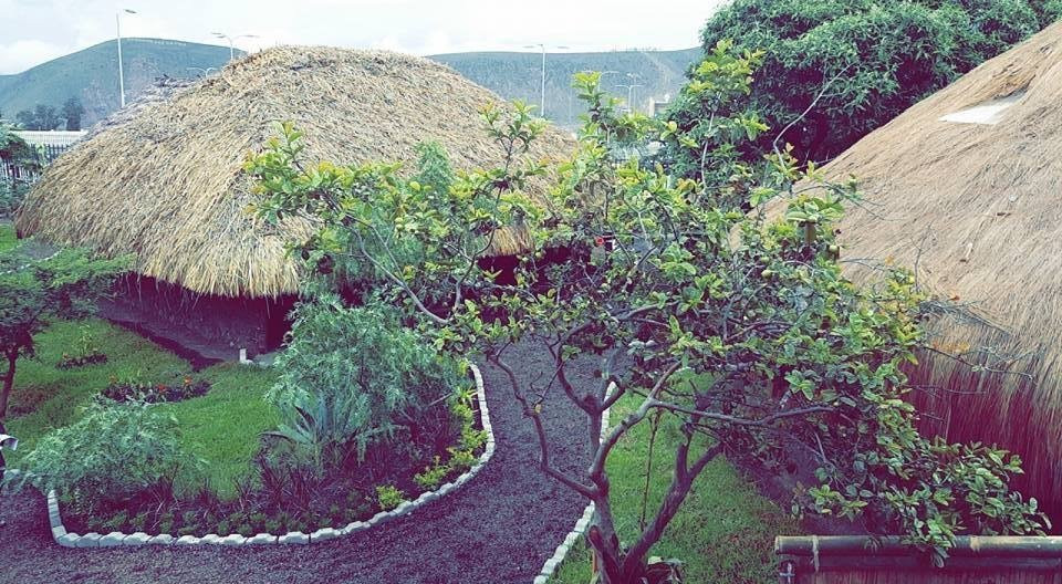 Parque Etnobotanico Omaere-Puyo必去景点