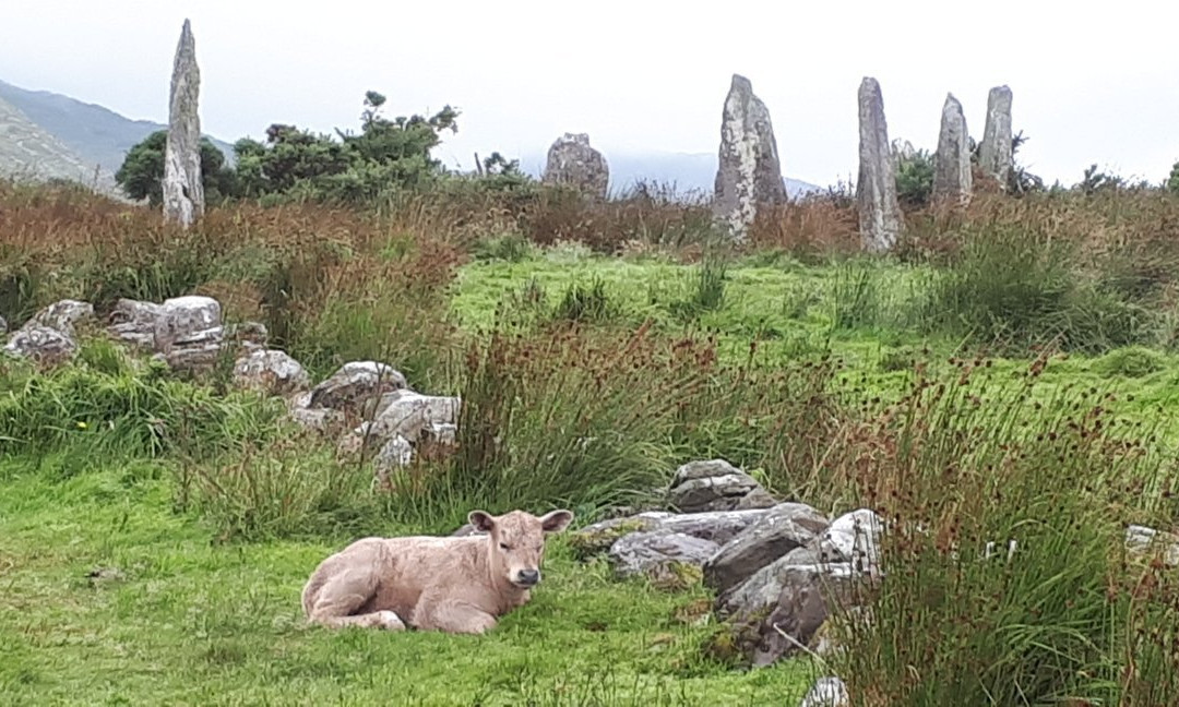 Kealkill Megalithic Stone Circle and Standing Stones-Bantry必去景点