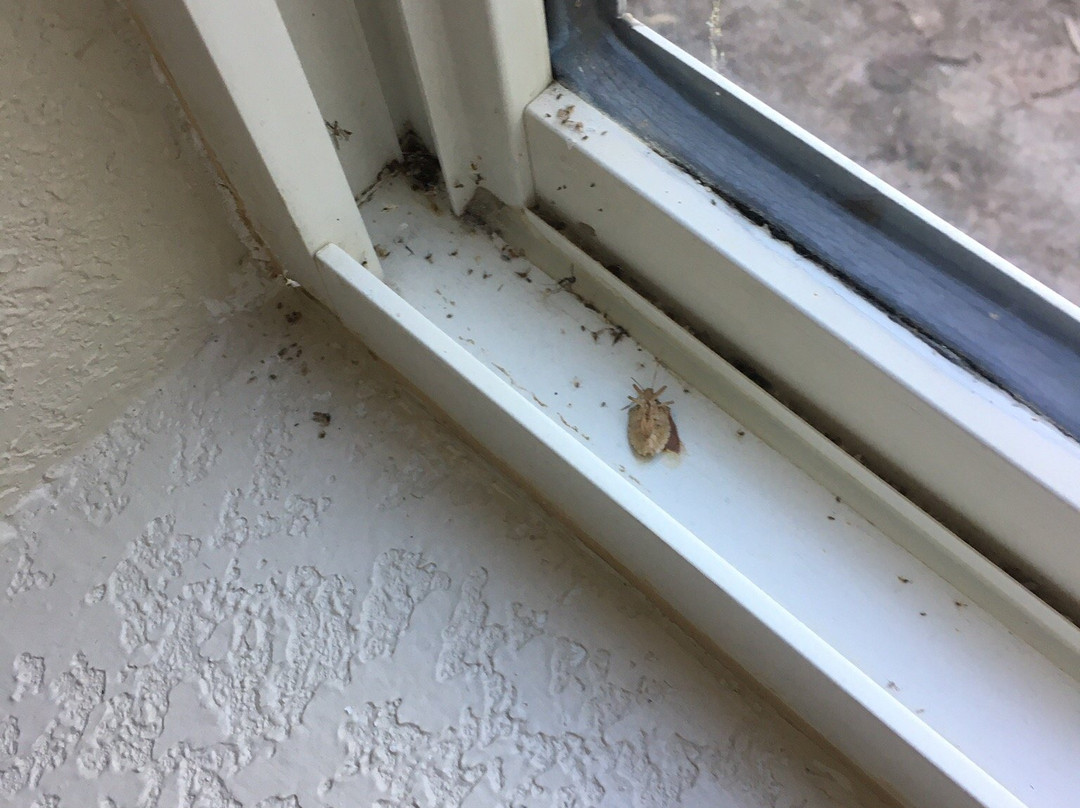 Quality Inn Newnan-atlanta South主图