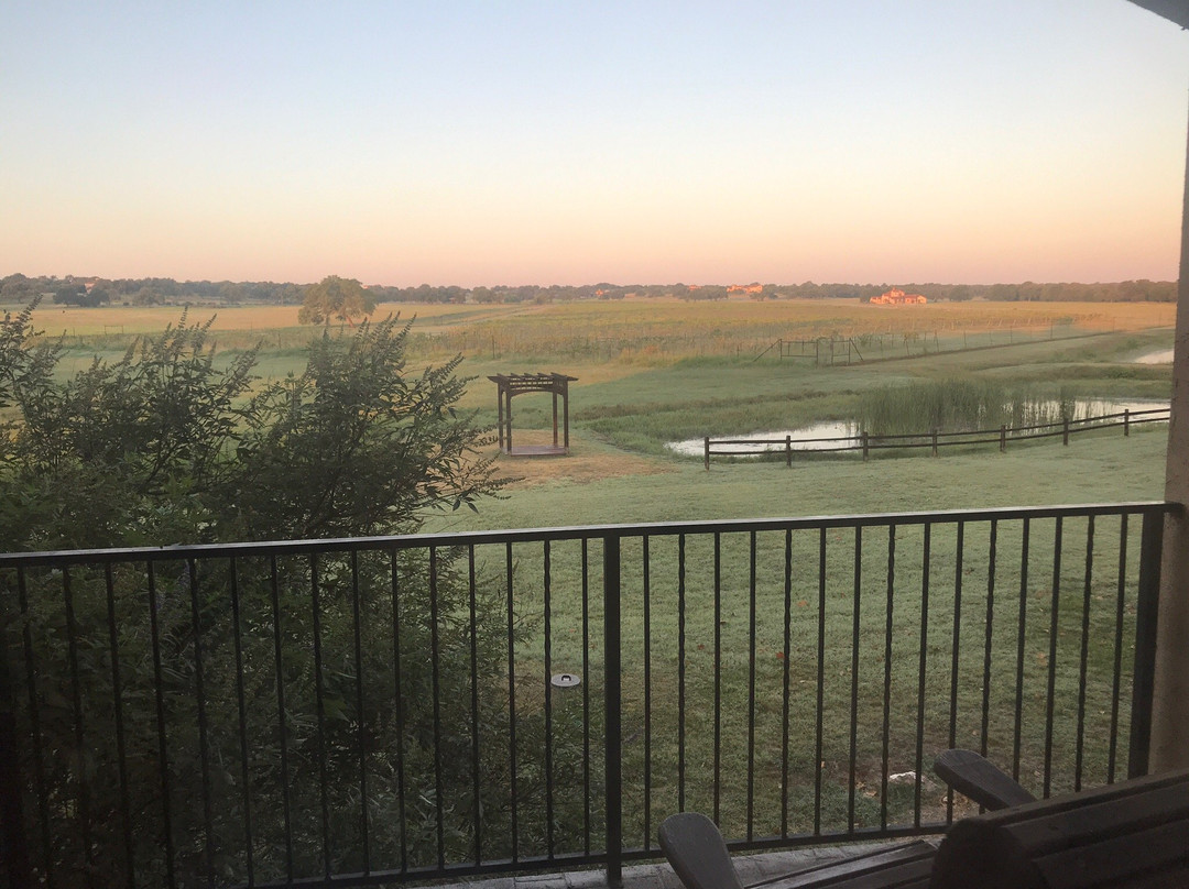 The Vineyard at Florence主图